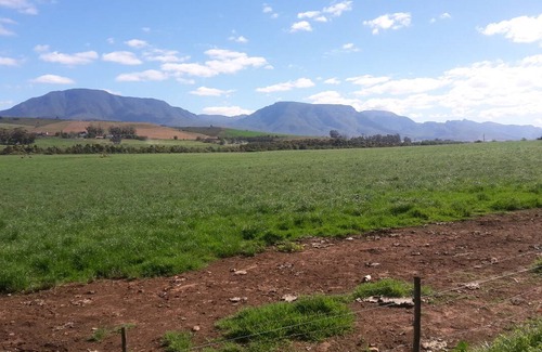 Riversdale Resort | Private room ∙ 2 guests