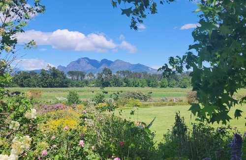 Paarl Resort | Private room ∙ 1 guest