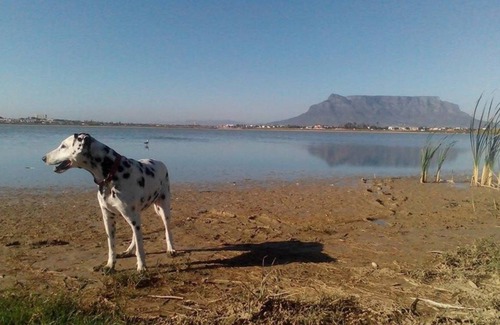 Flamingo Vlei Resort | Private room ∙ 1 guest