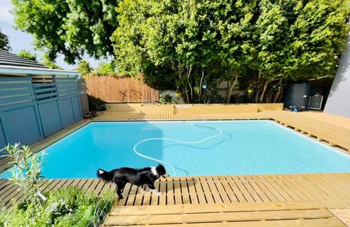 Plettenberg Bay House | Protea Dale