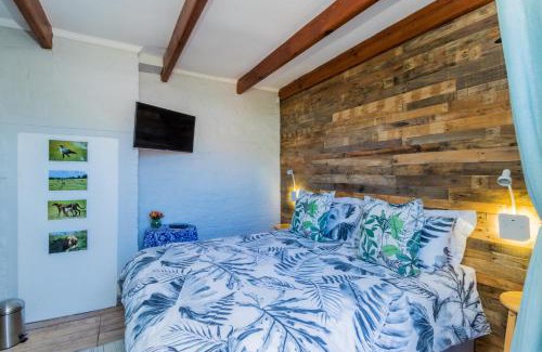 Franschhoek Apartment | Protea Room Franschhoek Central