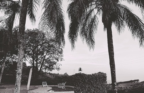 Tzaneen Hotel | Sherwood's Country House