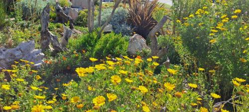 Van Dyks Bay House | Southern Right Guest House