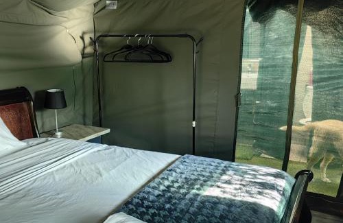 Berea Other | Tent On Manor