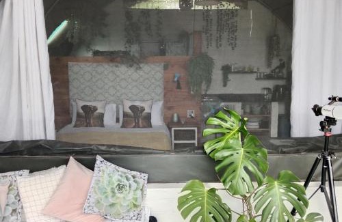 Clarens Other | The Jolly Joint Clarens
