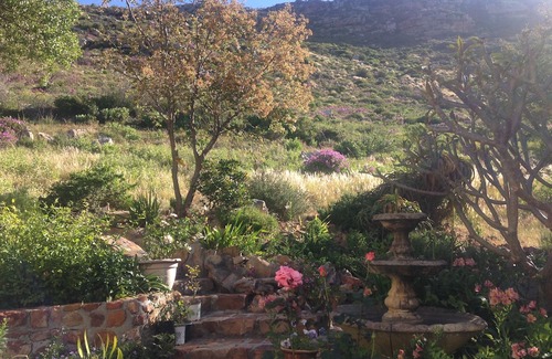 Fish Hoek Hotel | Tranquility Guest House