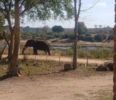 Marloth Park Apartment | Tswenyane Kruger Riverview Apartment 1&2