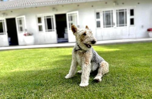 Fichardt Park Villa | Villa Vredenrust Guesthouse