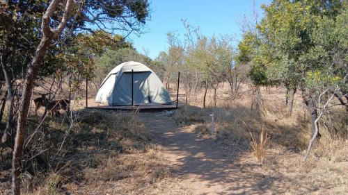 Kareeberg Other | Wildland Safaris