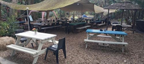 Kentani Hostel | Yellowwood Forest Eco Retreat