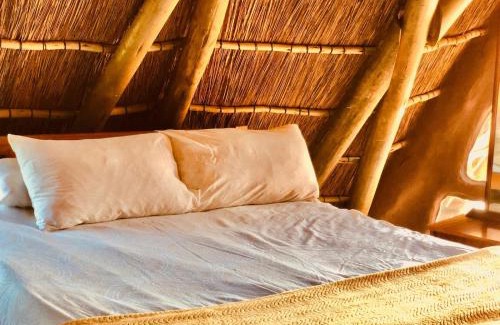 Kentani Hostel | Yellowwood Forest Eco Retreat