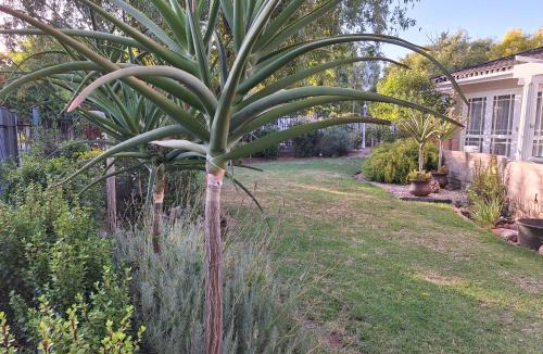 Oudtshoorn House | 1 CAMDEBO