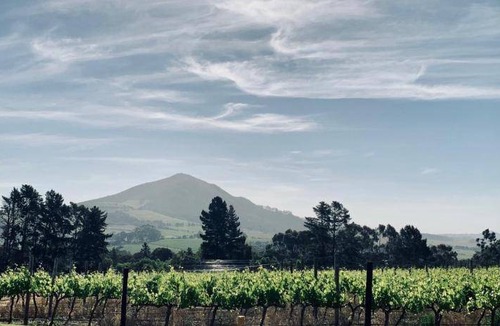 Cape Winelands Bed & Breakfast | 100 m² Bed and breakfast ∙ 2 bedrooms ∙ 127 guests