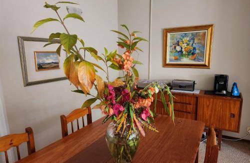 Mokopane Bed & Breakfast | 11 m² Bed and breakfast ∙ 2 guests