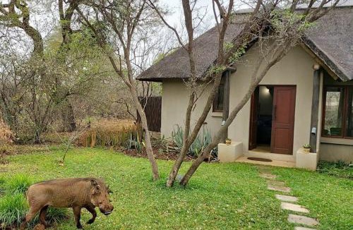 Hoedspruit House | 13 Raptors Lodge