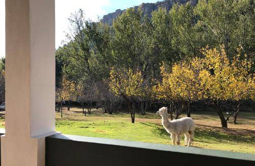Lady Grey Bed & Breakfast | 140 m² Bed and breakfast ∙ 3 bedrooms ∙ 6 guests