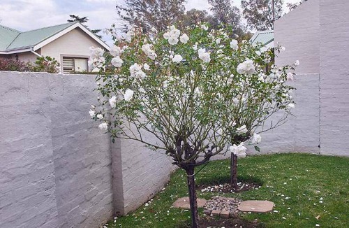 Clarens Apartment | 16 m² Apartment ∙ 2 bedrooms ∙ 4 guests