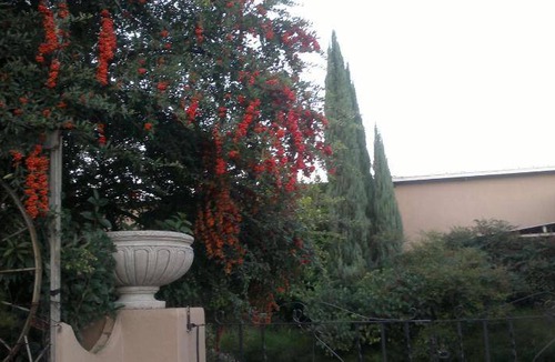 Parys Bed & Breakfast | 18 m² Bed and breakfast ∙ 3 guests