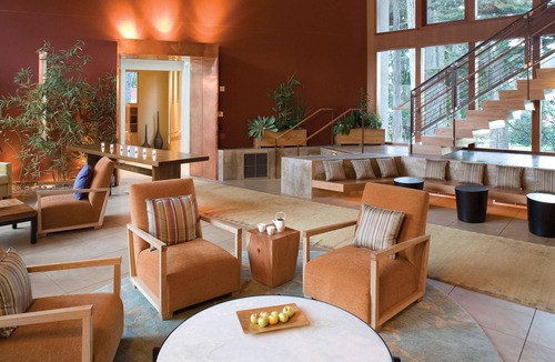 Sausalito Hotel | 2-Bedroom Suite at a 4.5⭐️ Hotel