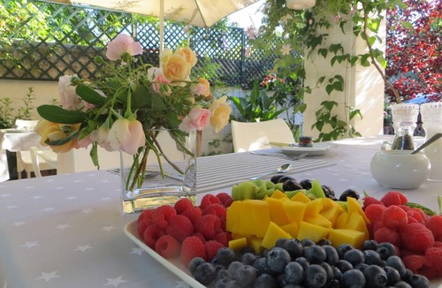 Stellenbosch Bed & Breakfast | 20 m² Bed and breakfast ∙ 2 guests