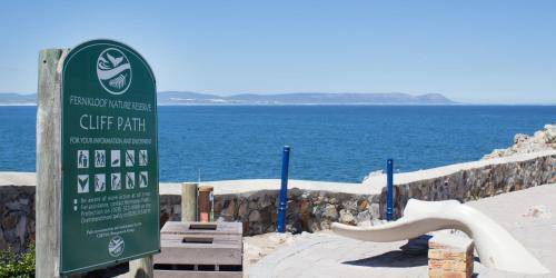 Hermanus City-Centre Hostel | 20 m² Hostel ∙ 4 guests
