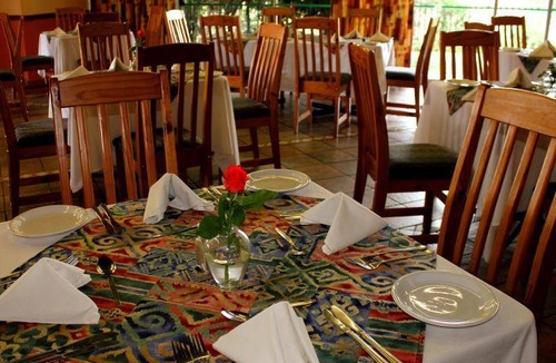 Ermelo Cabin | 20 m² Lodge ∙ 2 guests