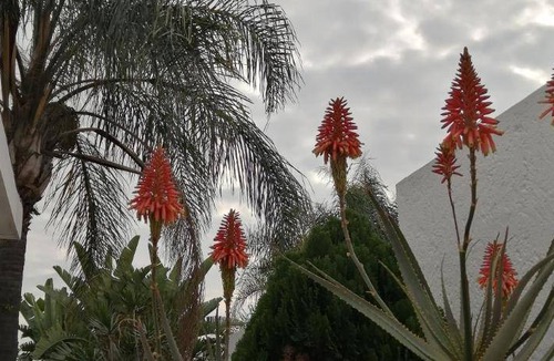 Pretoria Bed & Breakfast | 28 m² Bed and breakfast ∙ 3 guests