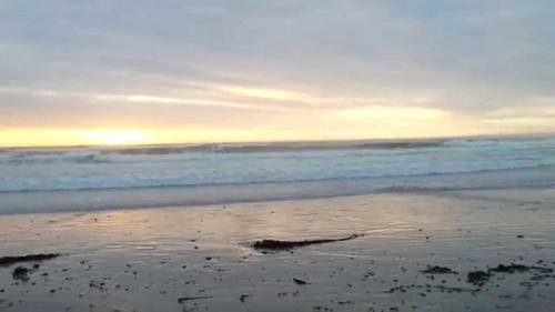 Melkbosstrand Bed & Breakfast | 28 m² Bed and breakfast ∙ 3 guests