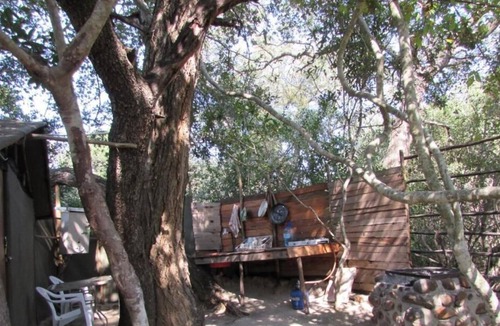 Thorny Bush Game Reserve Cabin | 3 bed bush-tent under 3 trees, for couple plus chaperone. Free lion/hyena sounds