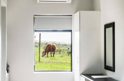 Koelenhof Apartment | 30 m² Apartment ∙ 1 bedroom ∙ 3 guests