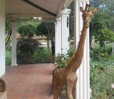 Smithfield Bed & Breakfast | 30 m² Bed and breakfast ∙ 2 guests