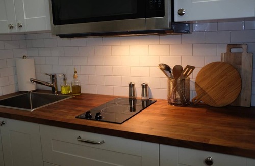 Downtown San Jose Apartment | 302-Trendy 1 Bedroom Apt in Downtown San Jose City
