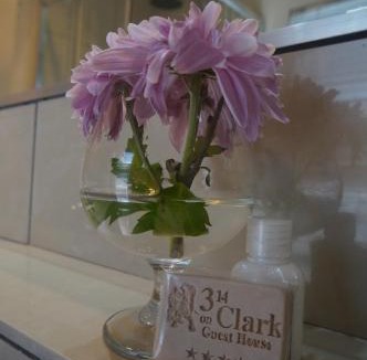 Brooklyn House | 314 on Clark Guest House