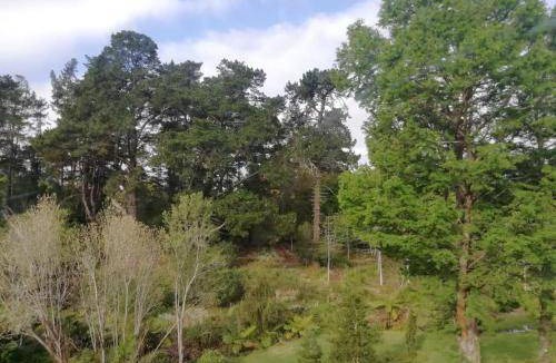 George Bed & Breakfast | 32 m² Bed and breakfast ∙ 4 guests