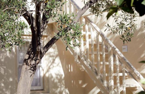 Prince Albert Bed & Breakfast | 35 m² Bed and breakfast ∙ 127 guests