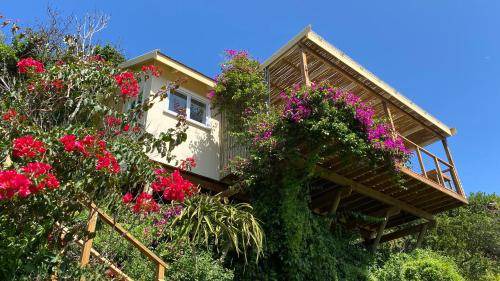 Wilderness House | 35 m² House ∙ 127 guests