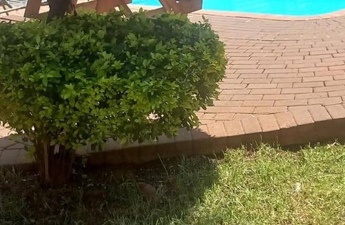 Pretoria Apartment | 36 m² Apartment ∙ 1 bedroom ∙ 2 guests