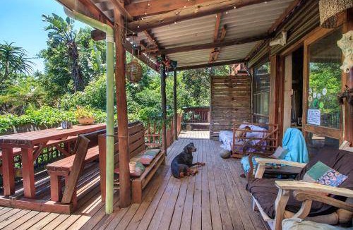 Kentani Hostel | 36 m² Hostel ∙ 5 guests