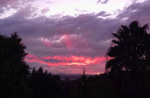 Plettenberg Bay Apartment | 38 m² Apartment ∙ 1 bedroom ∙ 3 guests