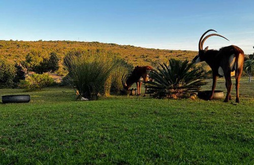 Hessequa Apartment | 45 m² Apartment ∙ 3 guests
