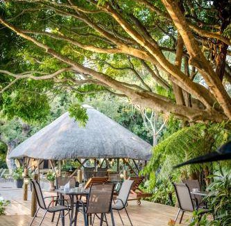 Thorny Bush Game Reserve Cabin | 50 m² Lodge ∙ 4 guests