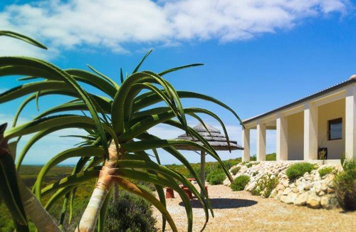 Pringle Bay Bed & Breakfast | 55 m² Bed and breakfast ∙ 4 guests