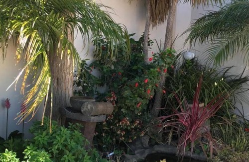 Gordons Bay Central Bed & Breakfast | 60 m² Bed and breakfast ∙ 4 guests