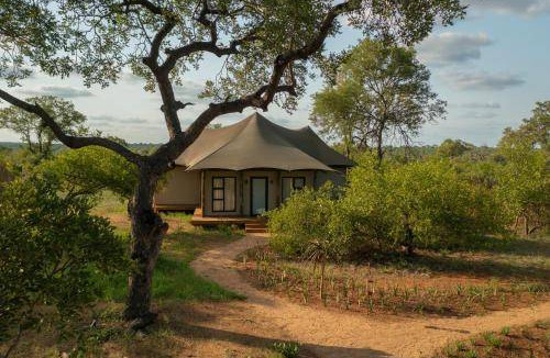 Thorny Bush Game Reserve Hotel | 60 m² Hotel ∙ 2 guests
