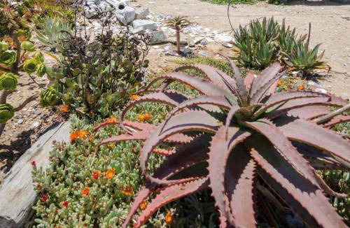 Kleinzee Hotel | 60 m² Hotel ∙ 4 guests