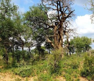 Bela-Bela Apartment | 636 Itaga Safari Lodge, Mabalingwe Nature Reserve