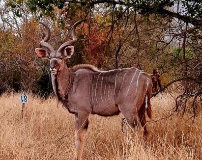Lydenburg Apartment | 66 Sharalumbi Wildlife Estate