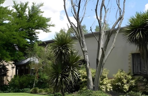 Middelburg Bed & Breakfast | 67 m² Bed and breakfast ∙ 4 guests