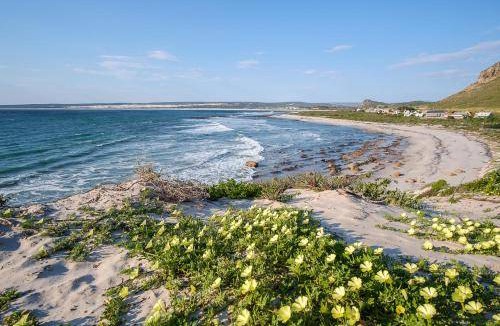 Elands Bay Apartment | 80 m² Apartment ∙ 2 bedrooms ∙ 4 guests