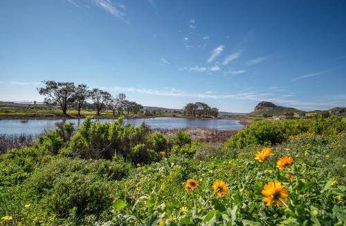 Elands Bay Apartment | 80 m² Apartment ∙ 2 bedrooms ∙ 4 guests